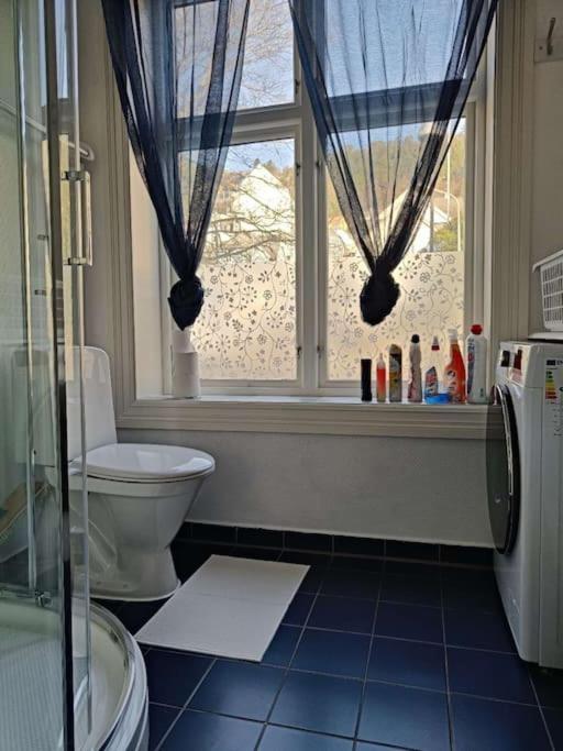 Apartment Ocean View, Central, Rustic Alesund